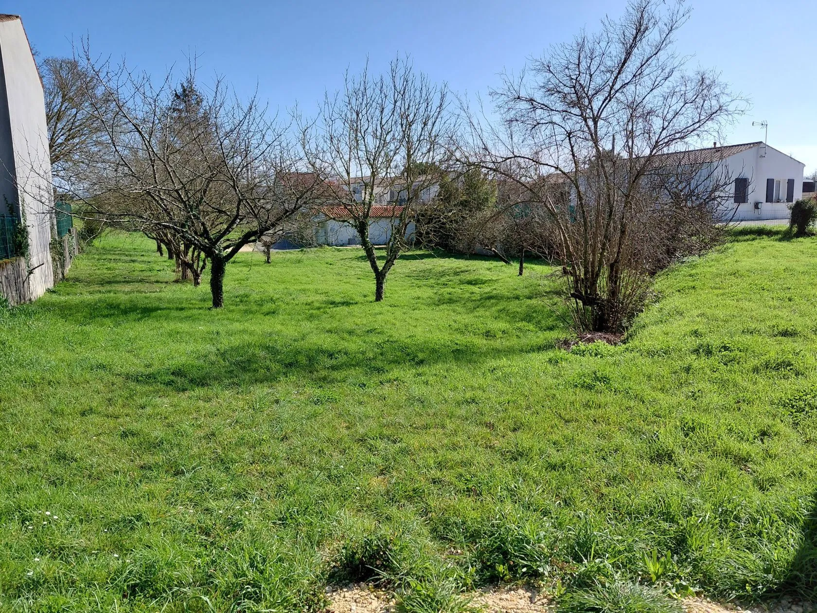 Terrain à bâtir 1184 m² à Saint-Agnant (17620)