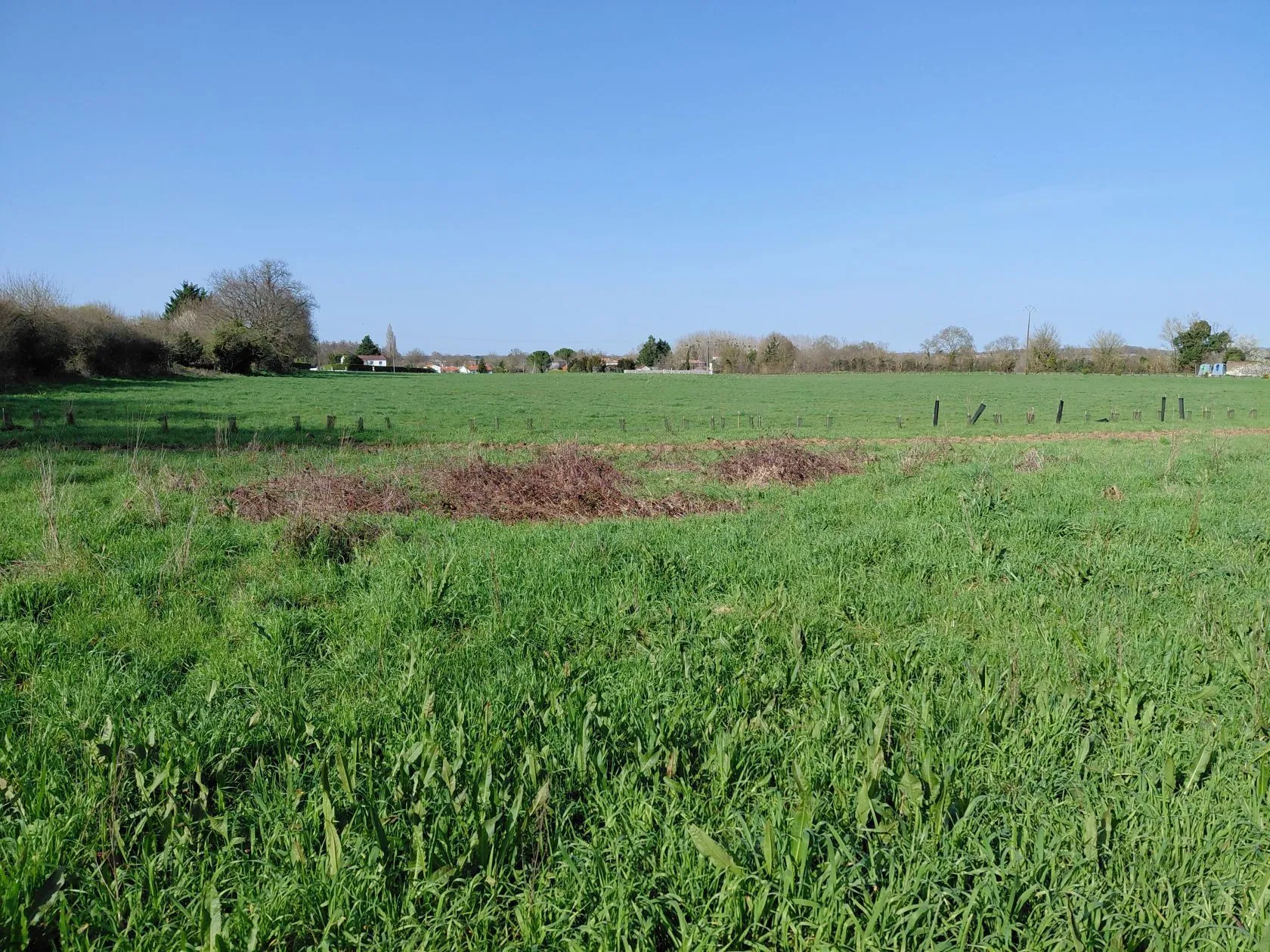 Terrain à bâtir 595 m² à Port-d'Envaux (17350)