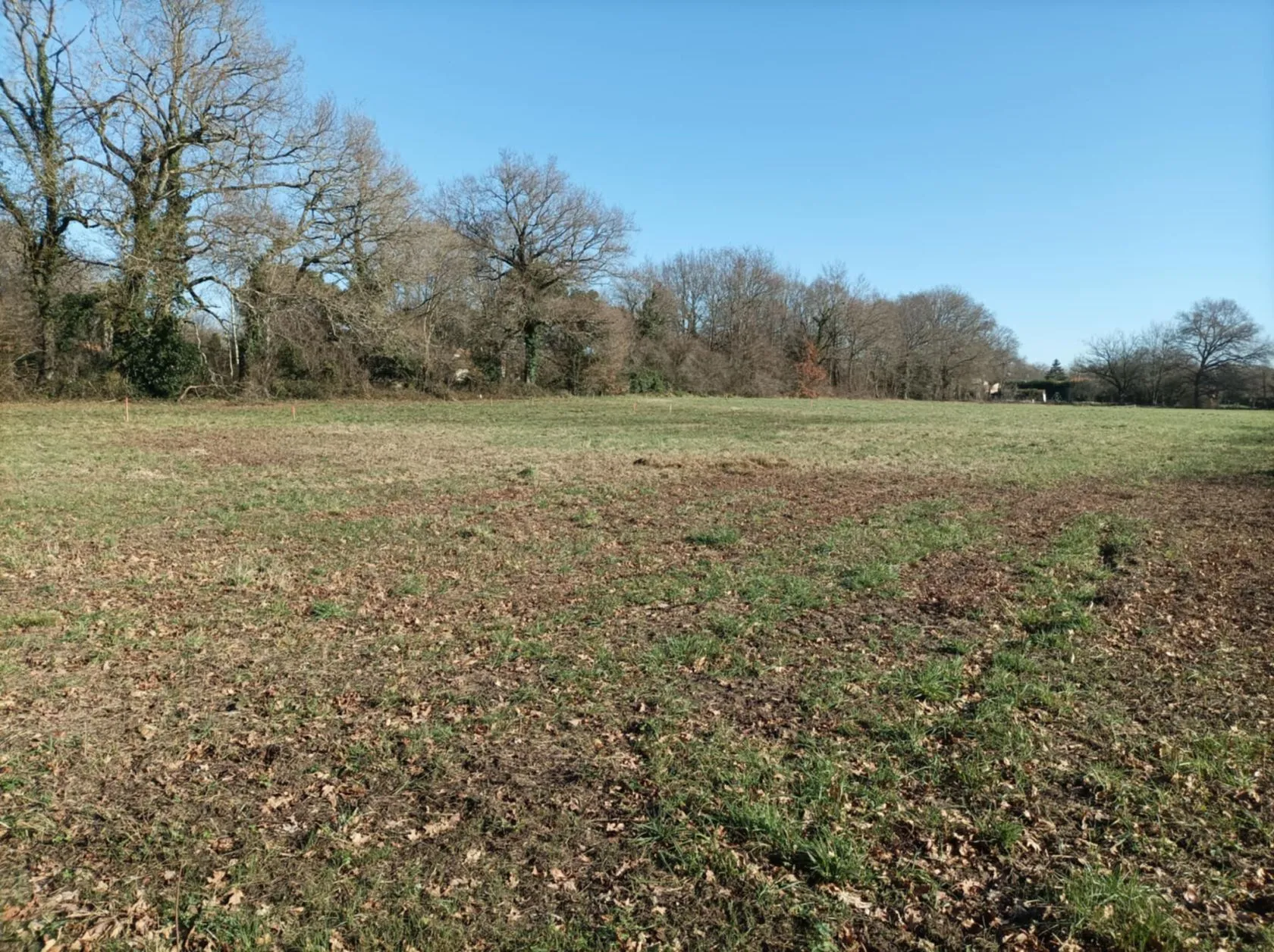 Maison neuve 85 m² à Pisany (17600)