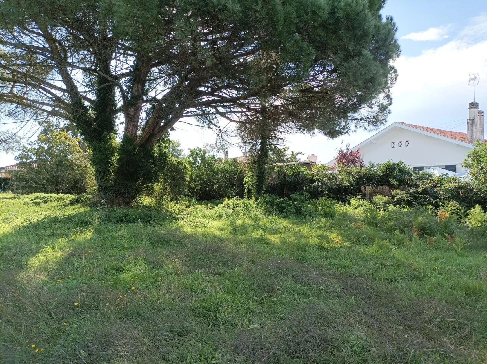 Terrain à bâtir à Lugos