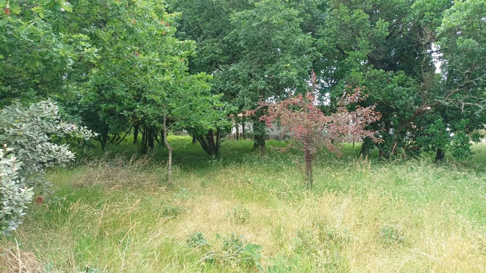 Maison neuve 100 m² à La Teste-de-Buch (33260)
