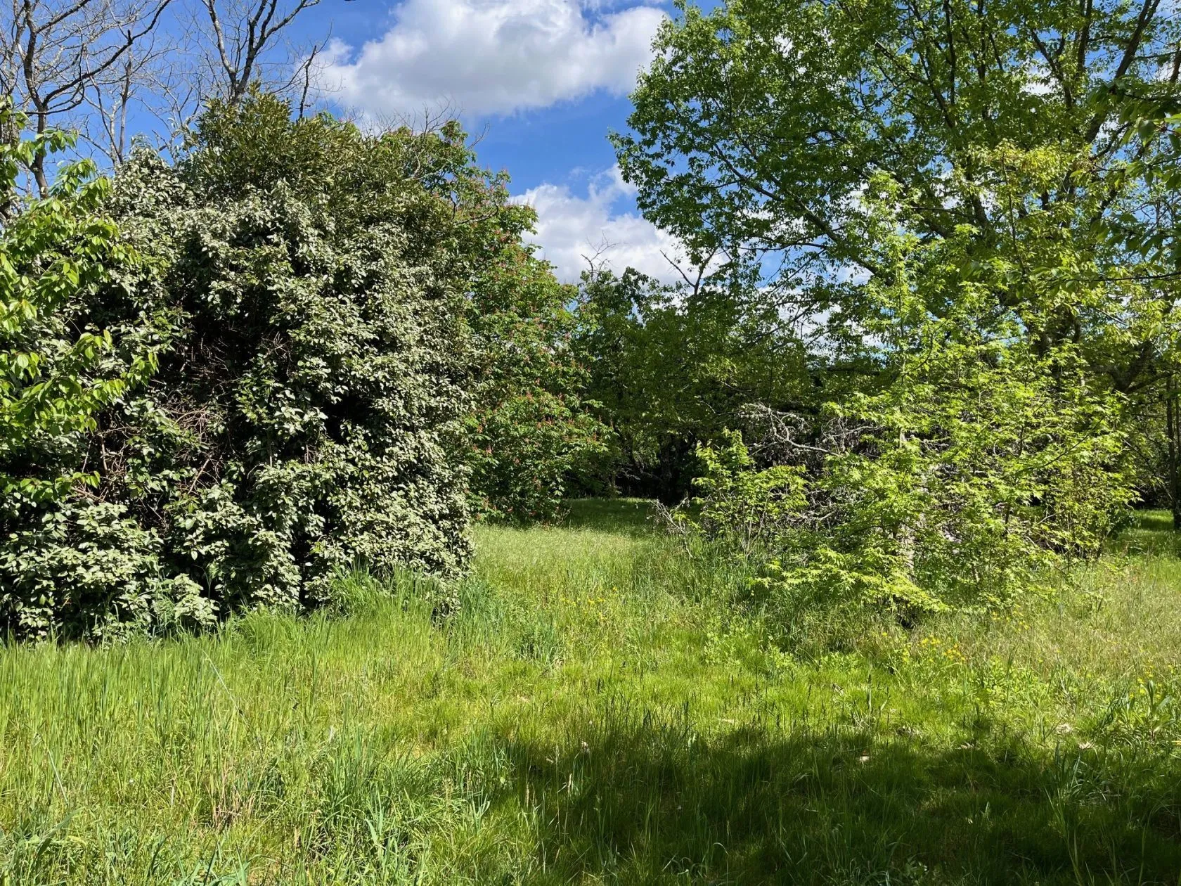 Maison neuve 109 m² à Saint-Pardon-de-Conques (33210)