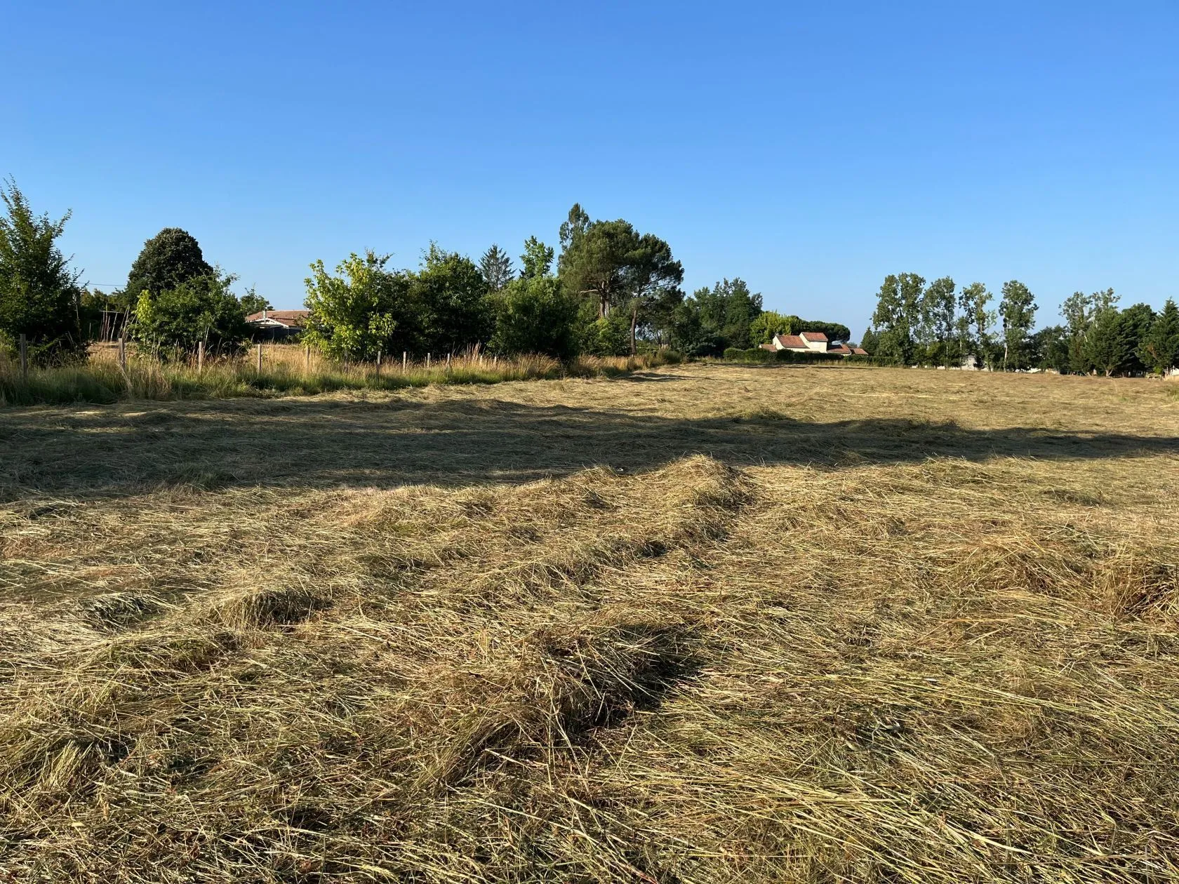 Terrain à bâtir 1800 m² à Saint-Pierre-de-Mons (33210)