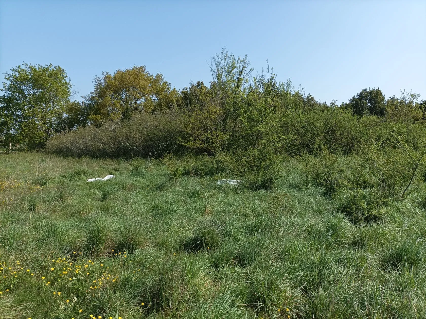 Terrain à bâtir à Cestas