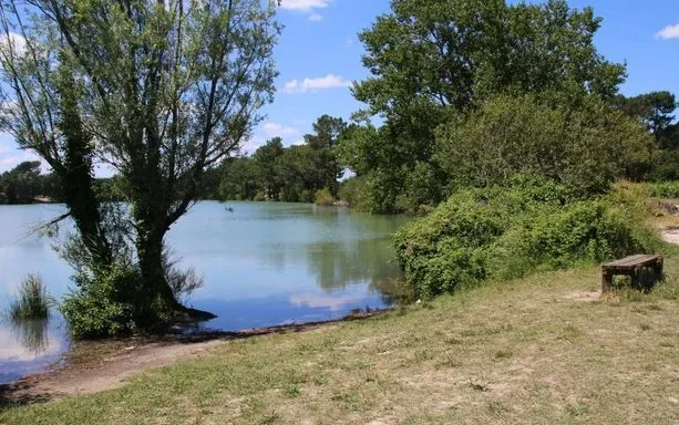 Maison neuve 90 m² à Ludon-Médoc (33290)