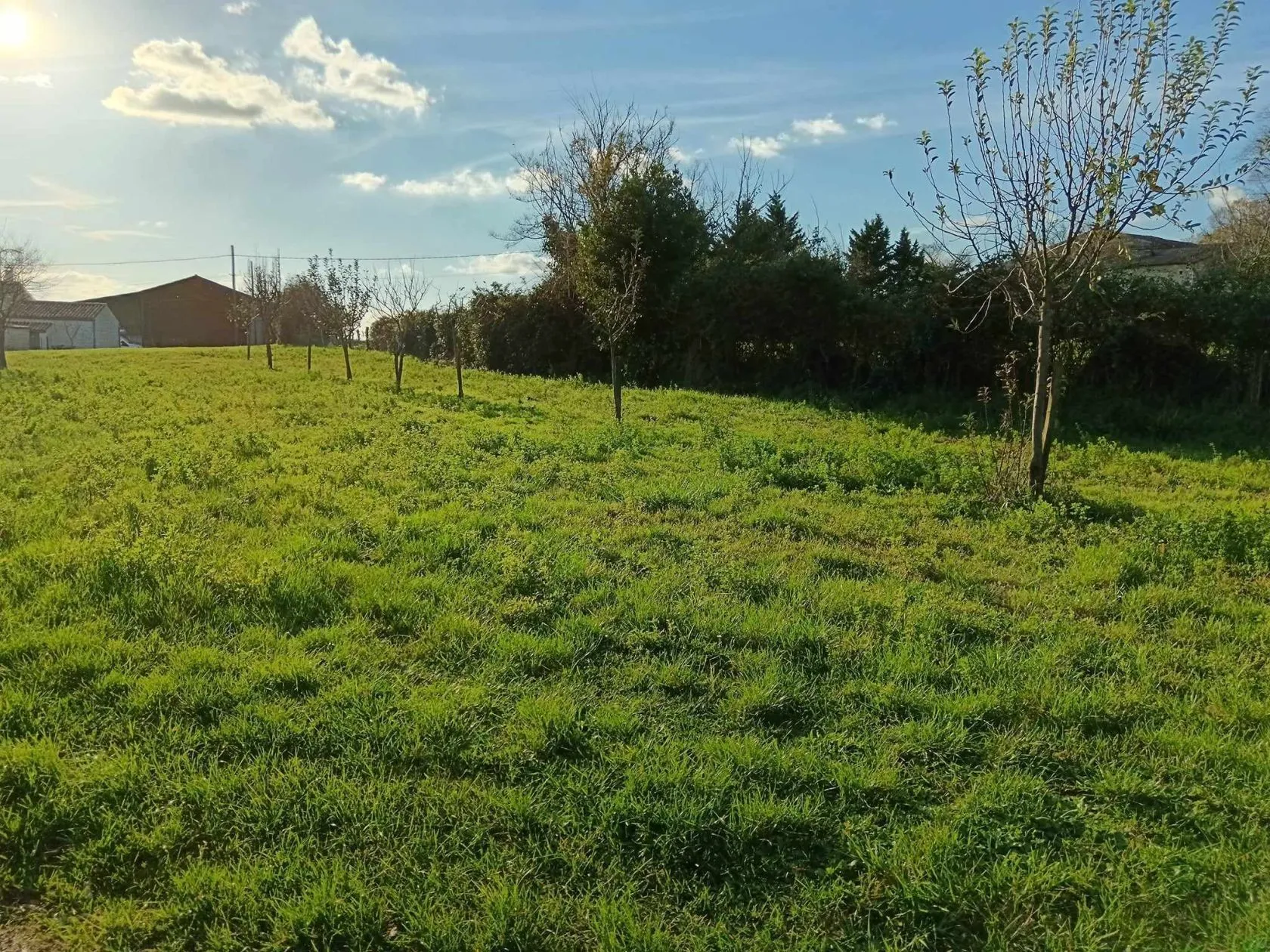 Terrain à bâtir 500 m² au Gua (17600)