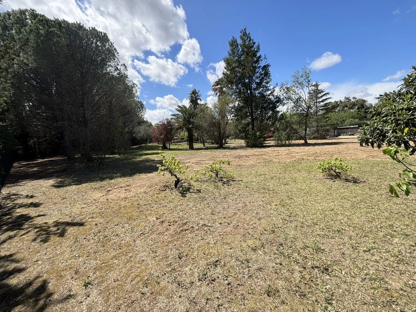 Maison neuve 200 m² à Villeneuve-de-la-Raho (66180)