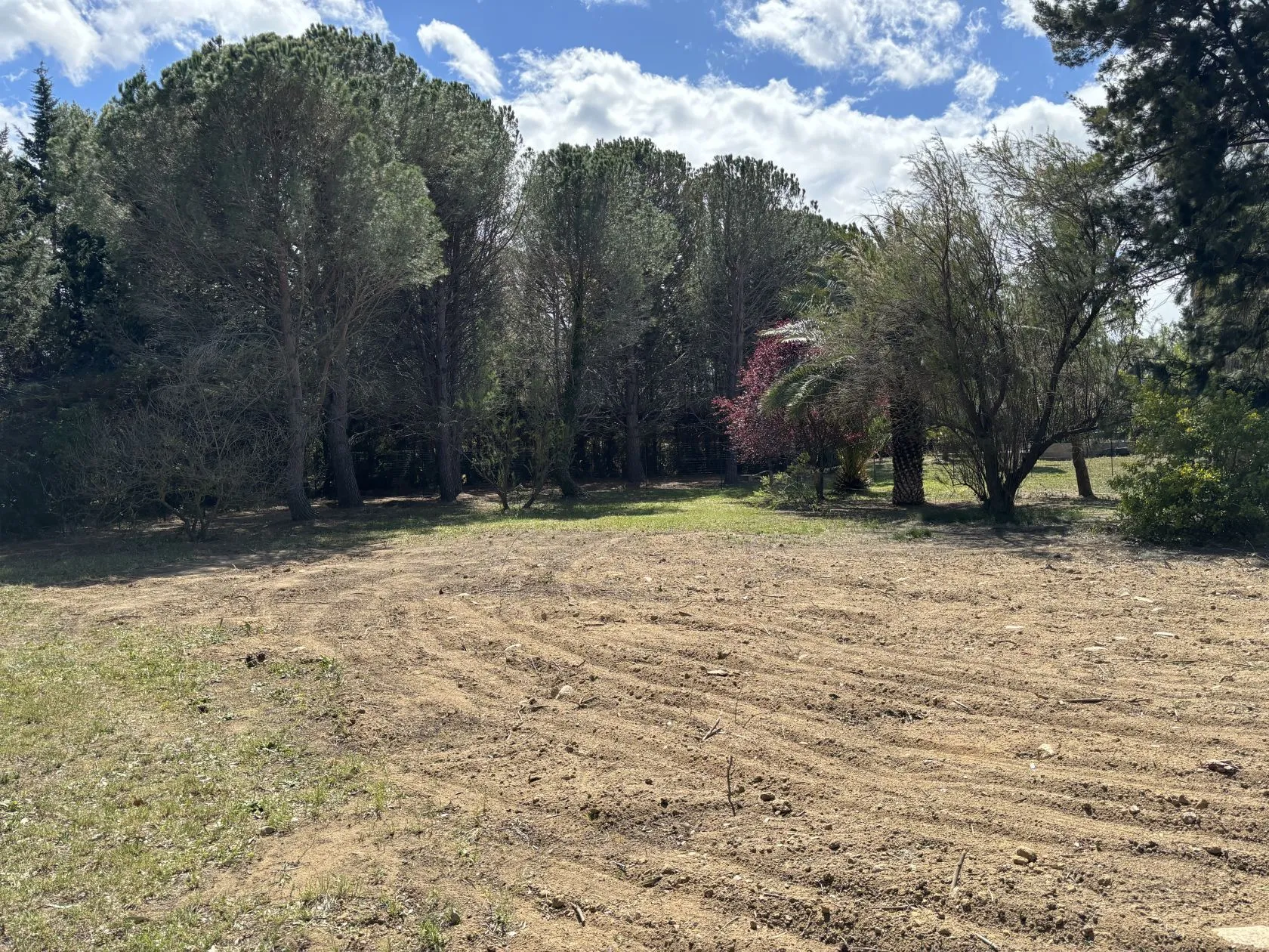 Maison neuve 200 m² à Villeneuve-de-la-Raho (66180)