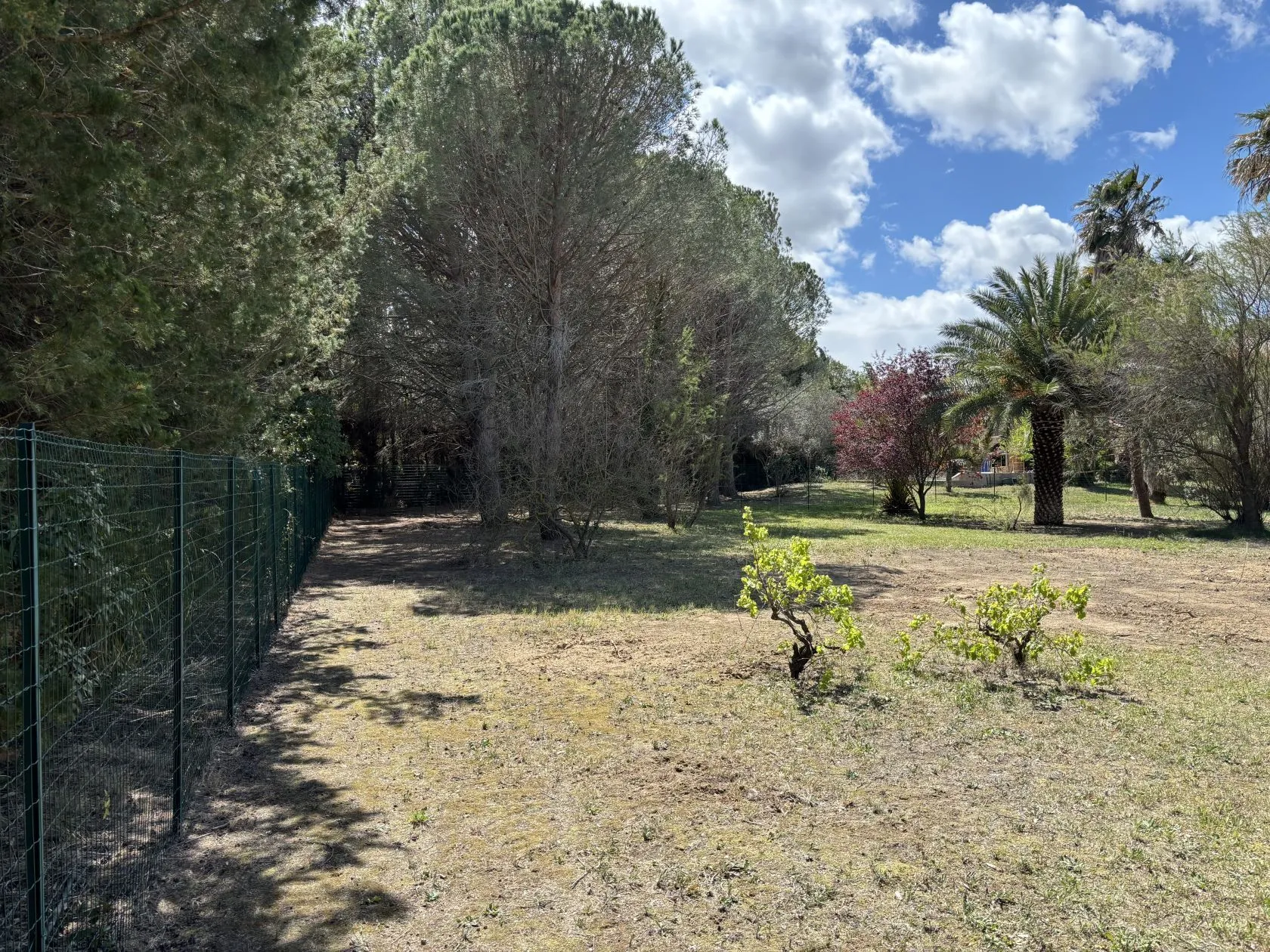 Maison neuve 200 m² à Villeneuve-de-la-Raho (66180)