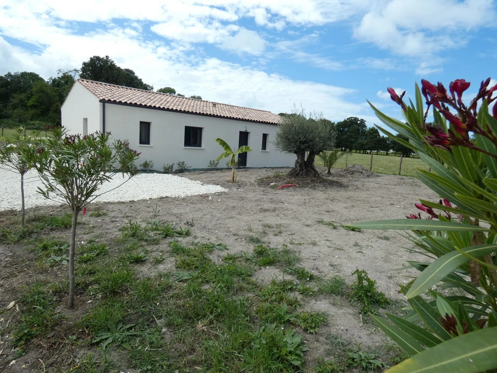 Maison neuve 85 m² à Balanzac (17600)