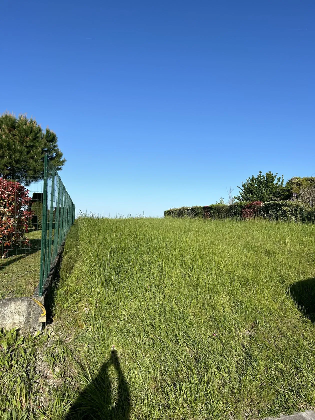Maison neuve 65 m² à Barbezieux-Saint-Hilaire (16300)