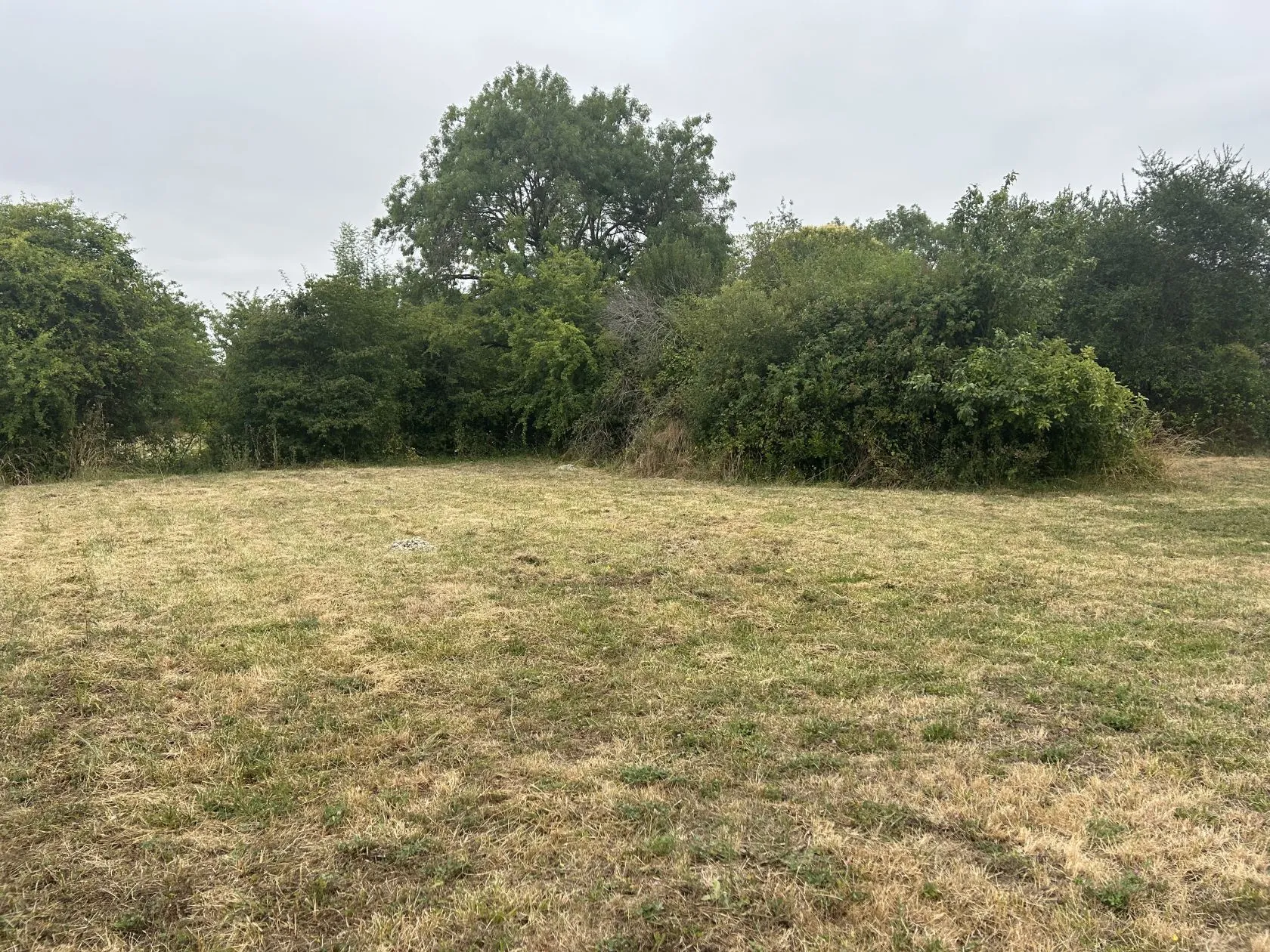 Maison neuve 70 m² à Jarnac (16200)