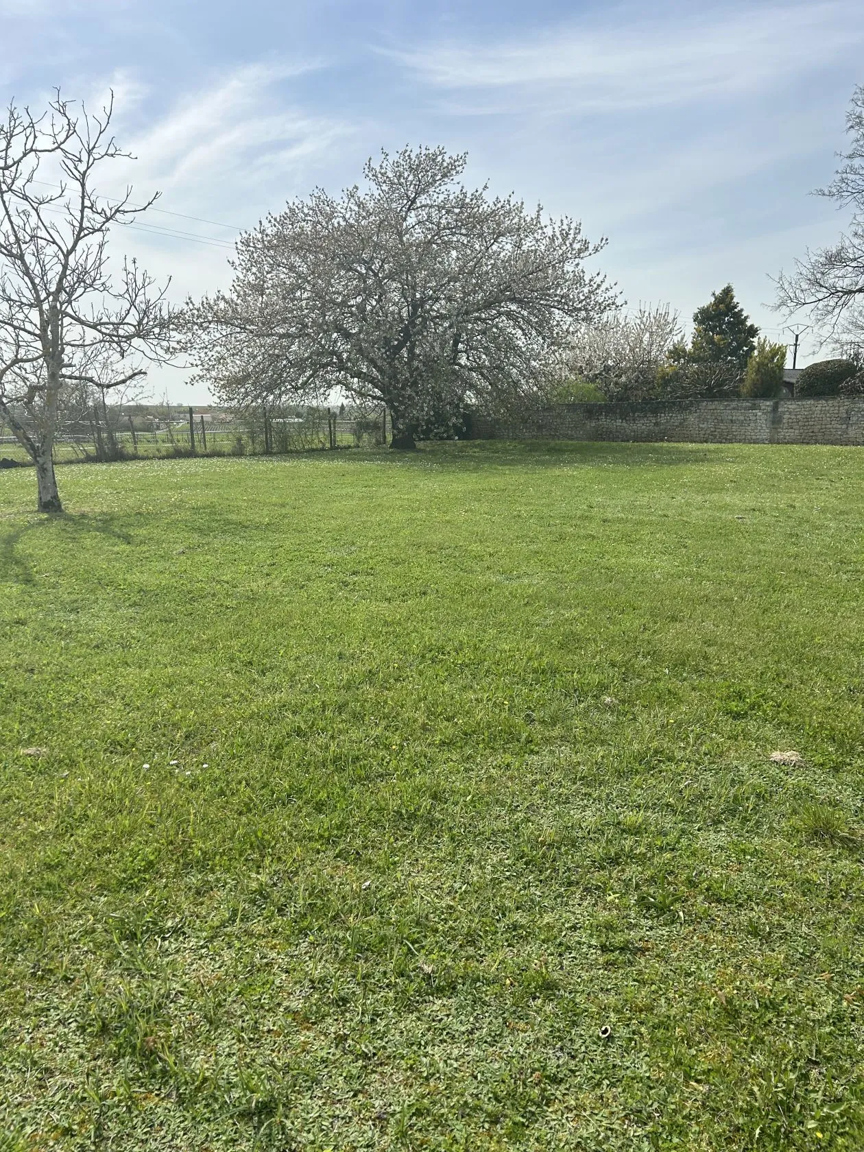 Terrain à bâtir 897 m² à Juillac-le-Coq (16130)