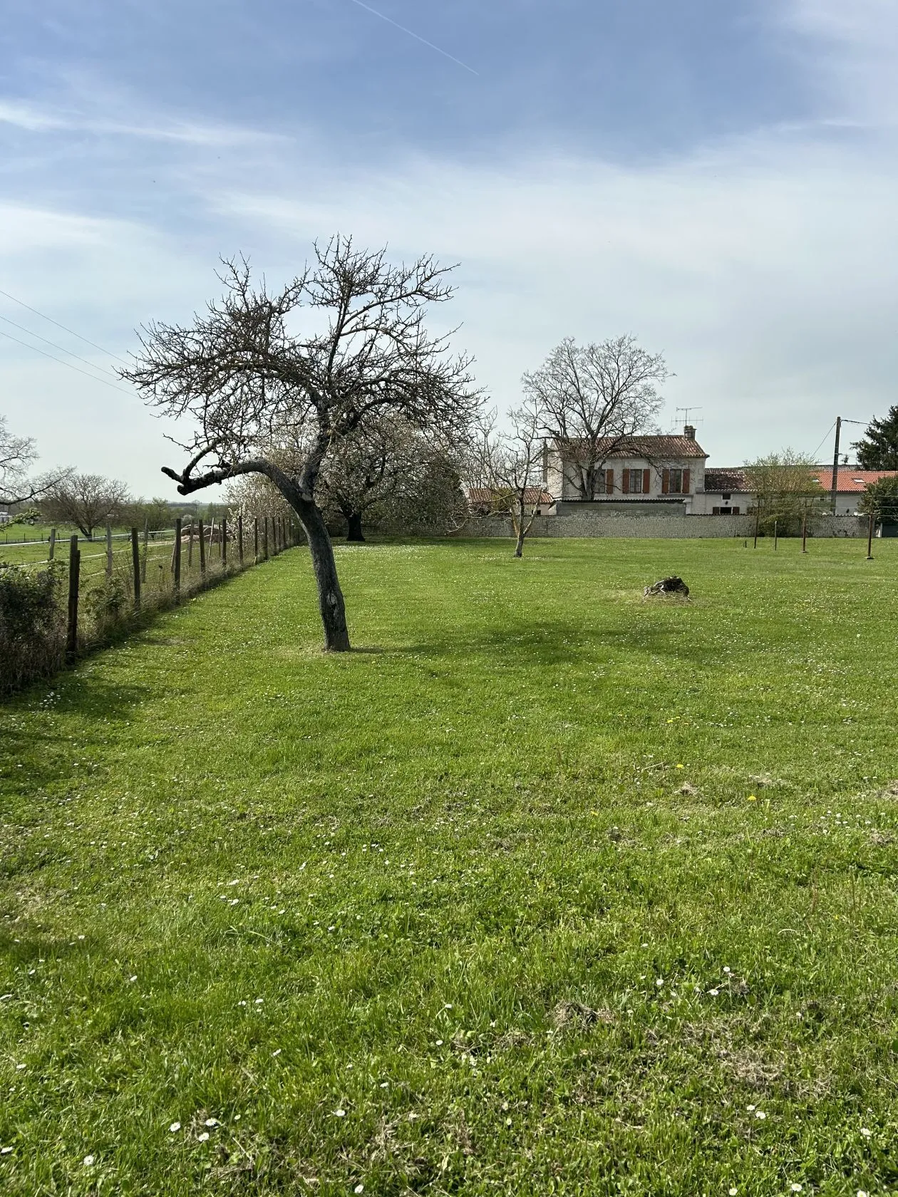 Terrain à bâtir 897 m² à Juillac-le-Coq (16130)