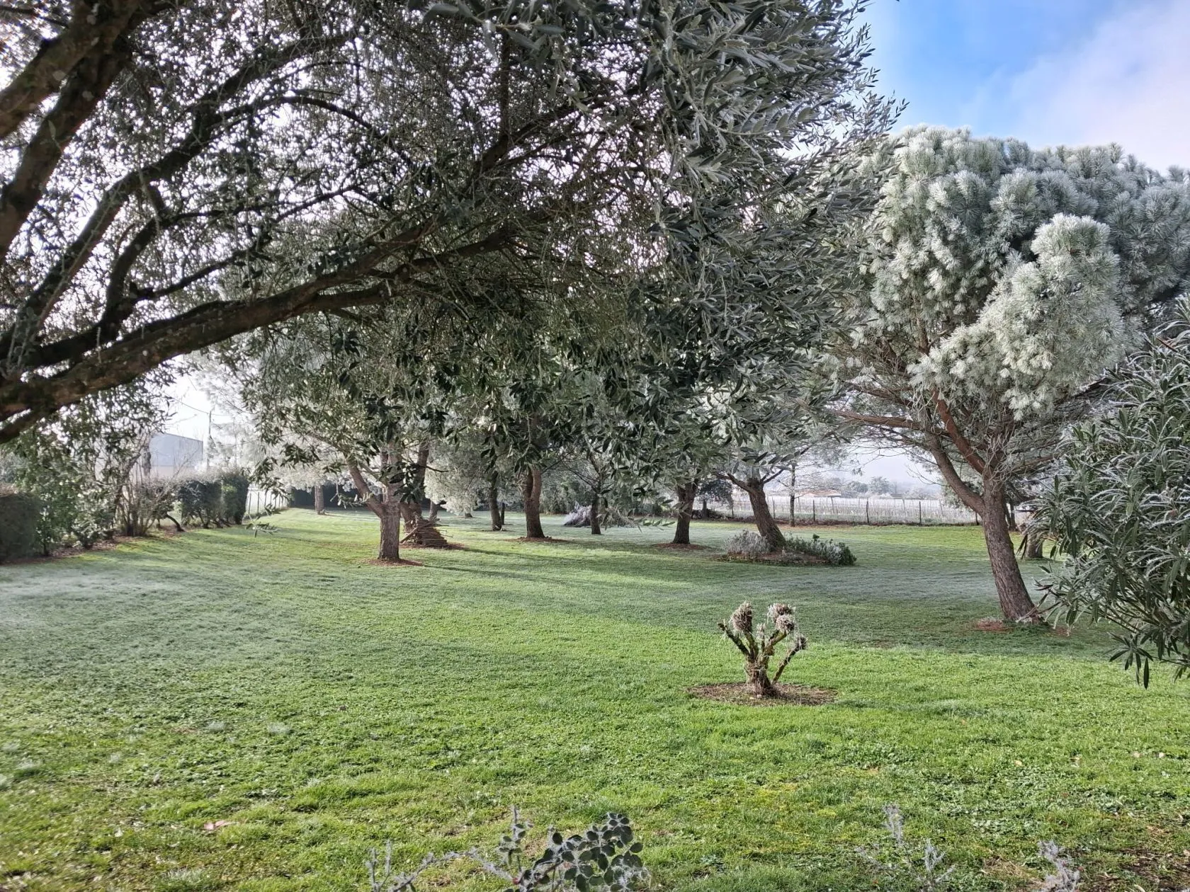 Maison neuve 90 m² à Réparsac (16200)