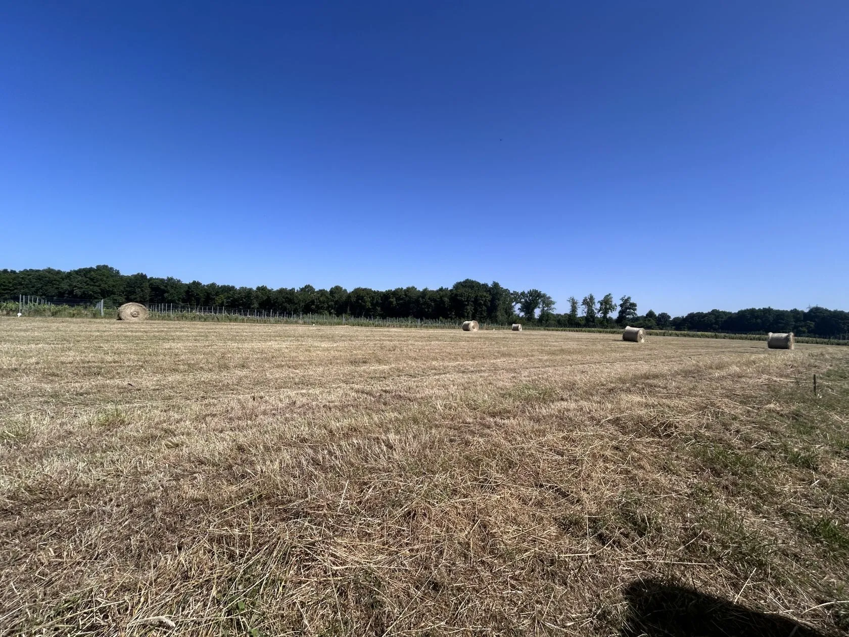 Terrain à bâtir 1100 m² à Chérac (17610)