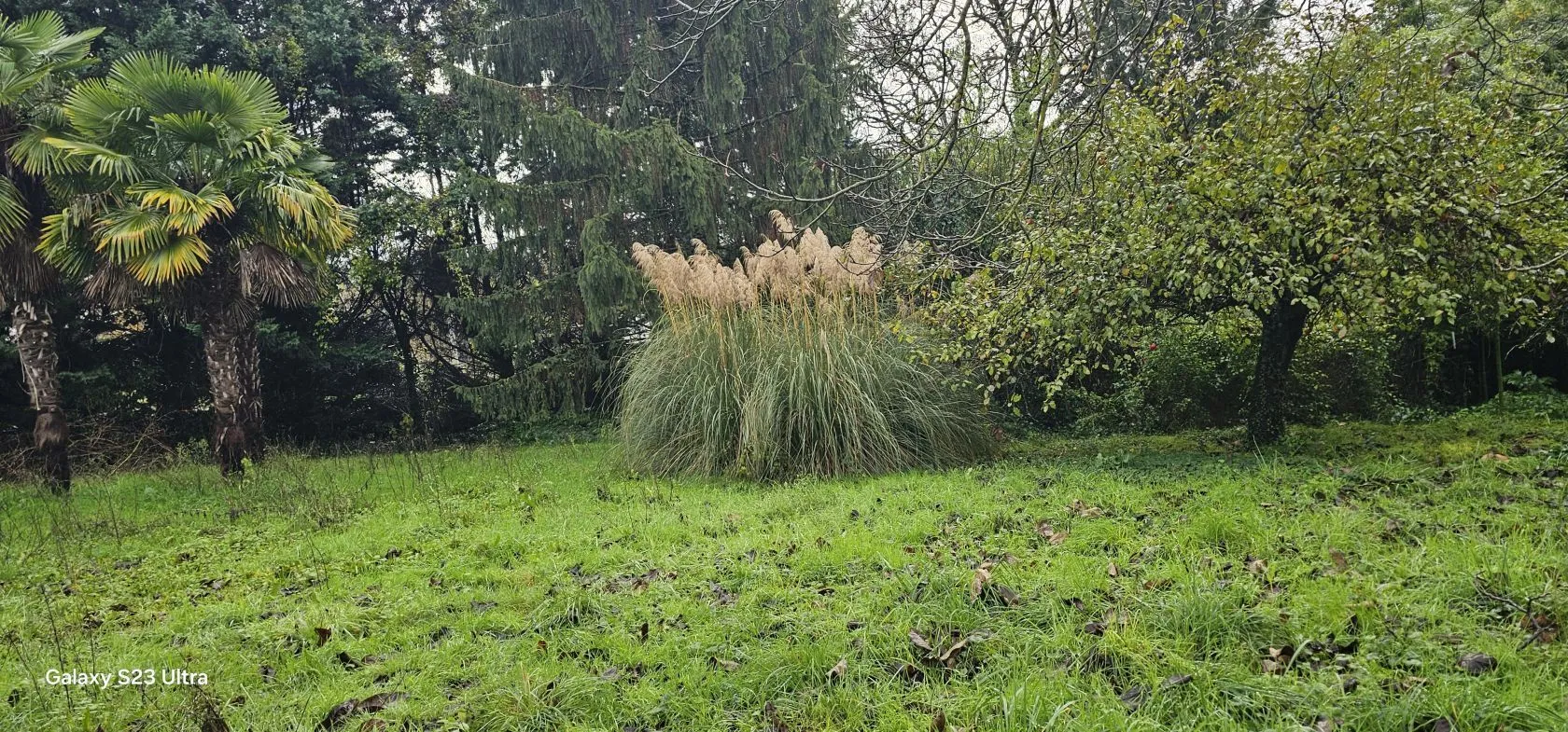 Terrain à bâtir 860 m² à Angoulême (16000)