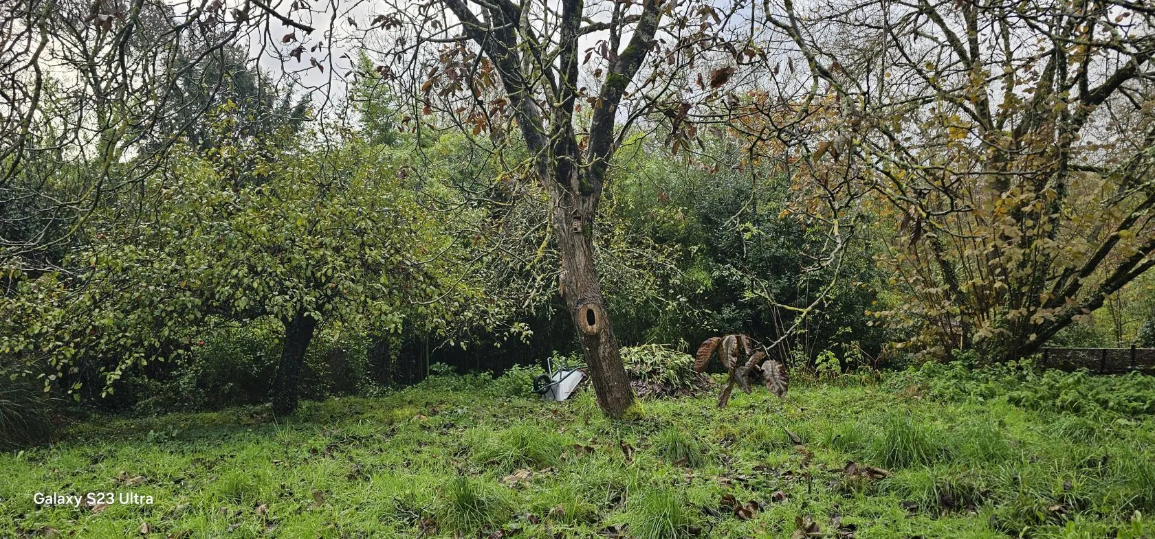 Terrain à bâtir 860 m² à Angoulême (16000)