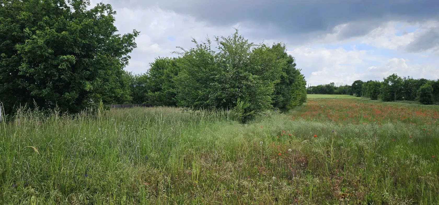 Maison neuve 100 m² à Gond-Pontouvre (16160)