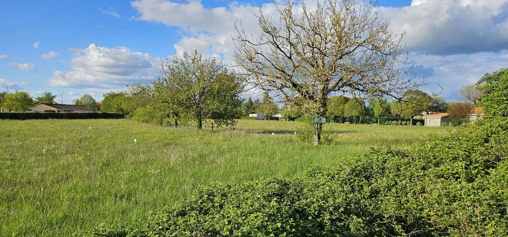 Maison neuve 70 m² à Rouillac (16170)