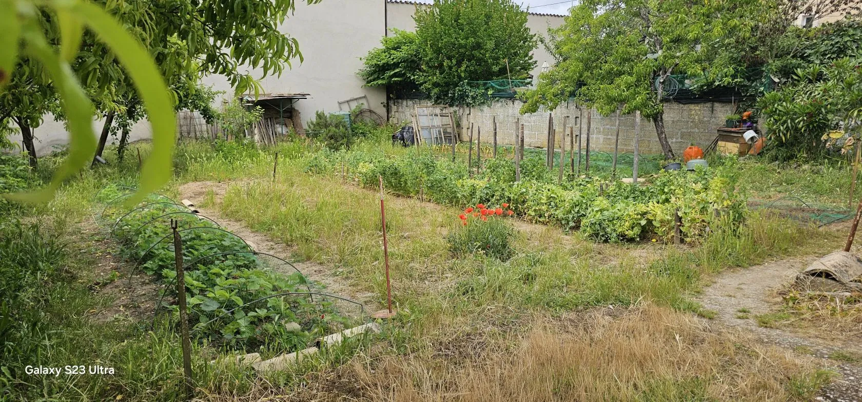 Terrain à bâtir 196 m² à Angoulême (16000)