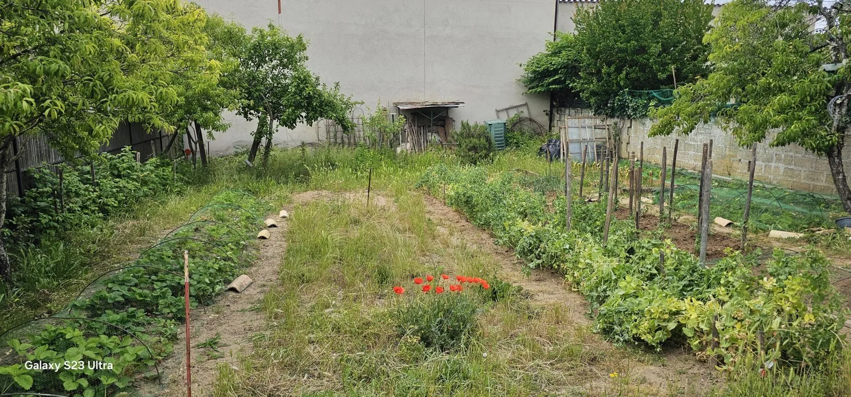 Terrain à bâtir 196 m² à Angoulême (16000)