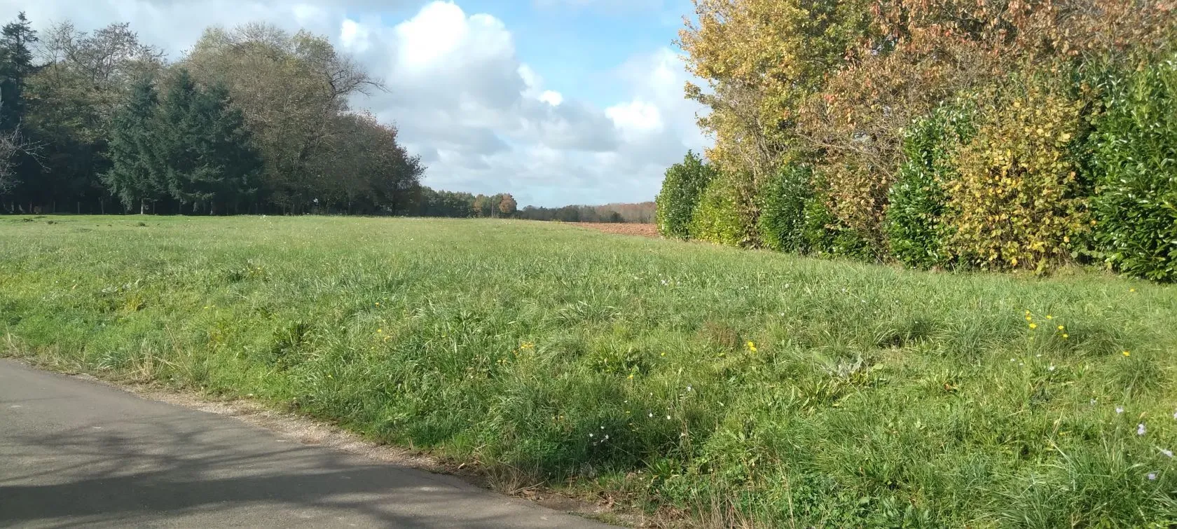 Maison neuve 97 m² à Saint-Sornin (16220)