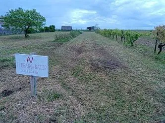 Maison neuve 116 m² à Échallat (16170)