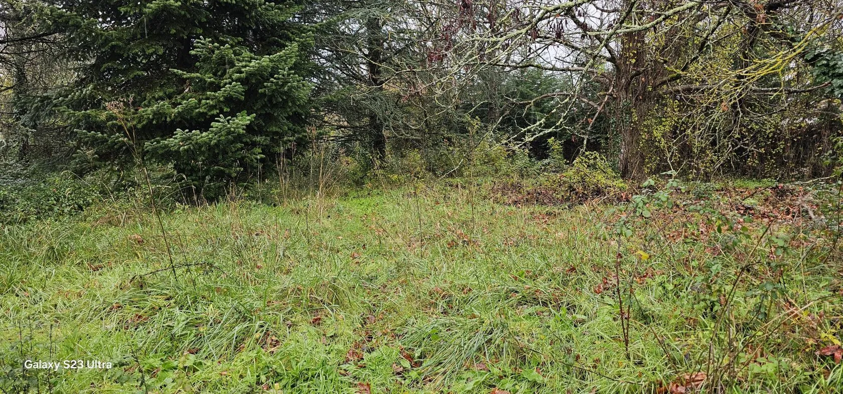 Terrain à bâtir 1500 m² à Saint-Yrieix-sur-Charente (16710)