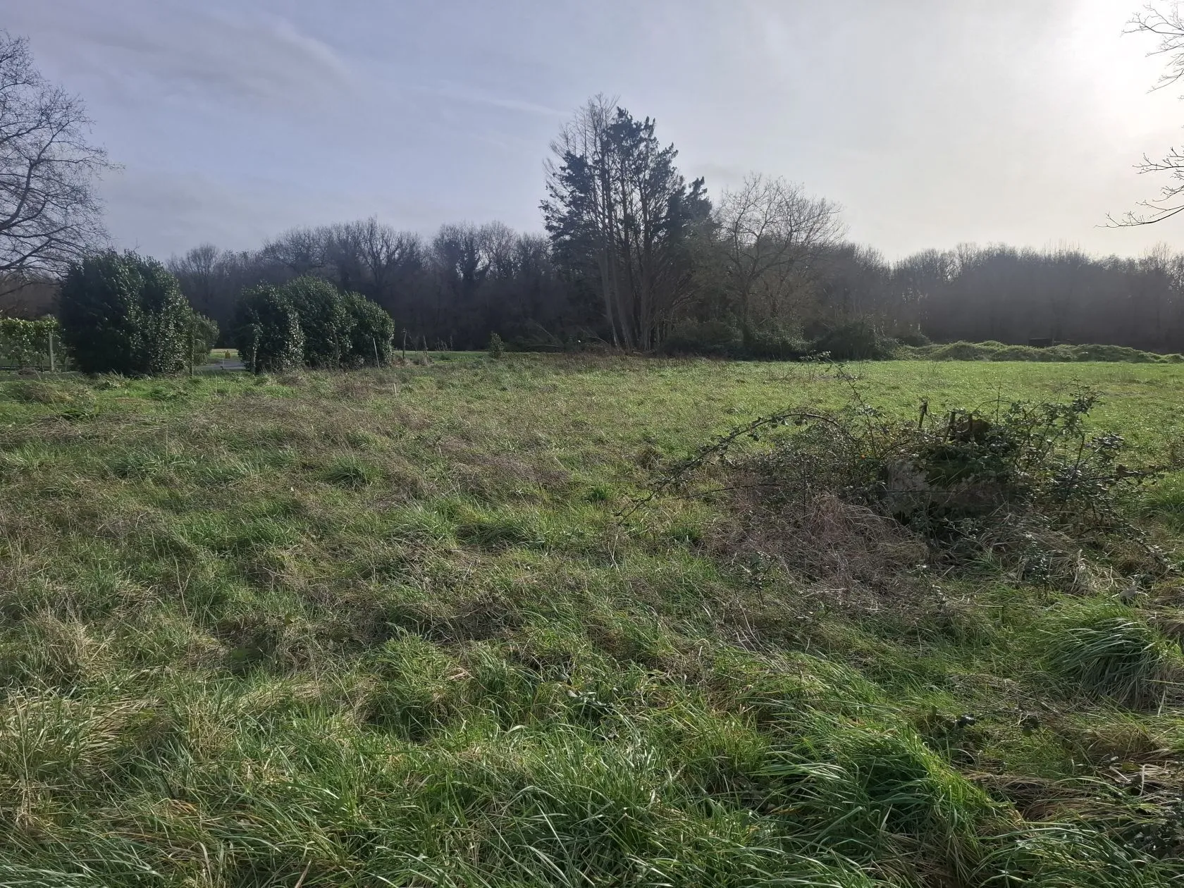 Maison neuve 85 m² à Médis (17600)