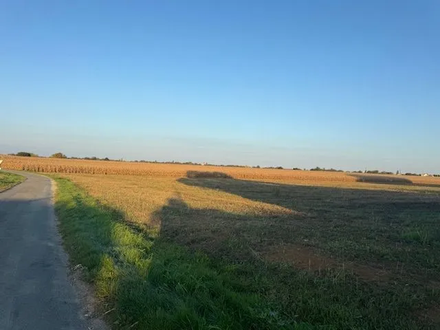 Maison neuve 85 m² à Balanzac (17600)