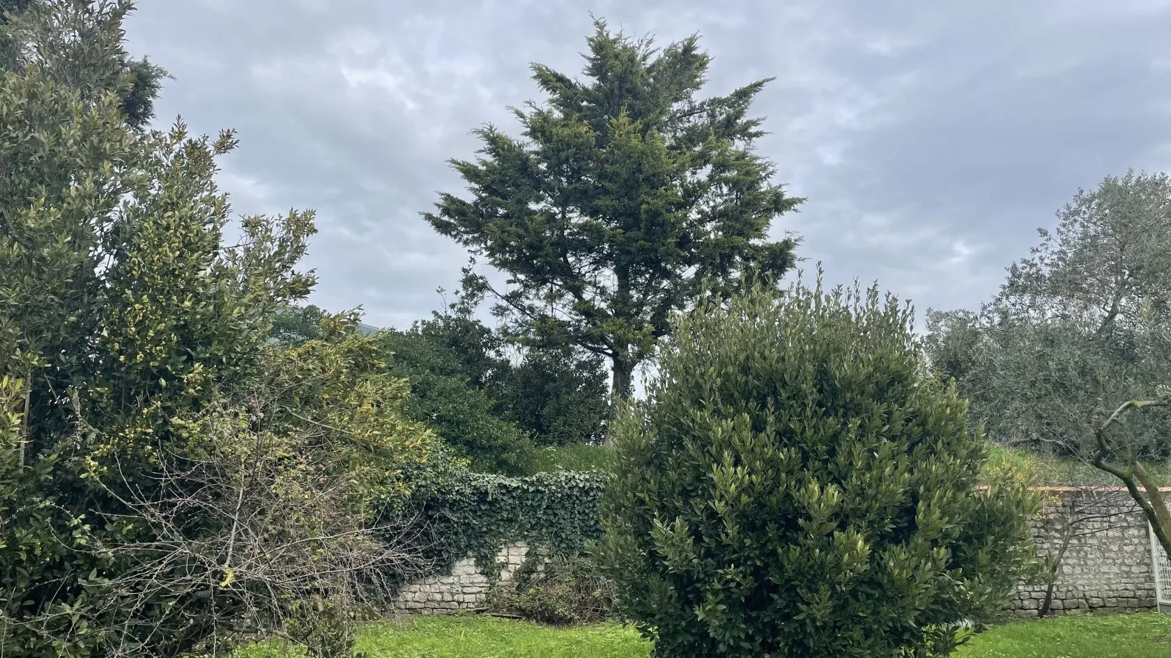 Maison neuve 93 m² à La Rochelle (17000)