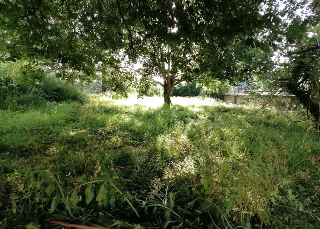 Terrain à bâtir 774 m² à Saint-Georges-de-Didonne (17110)