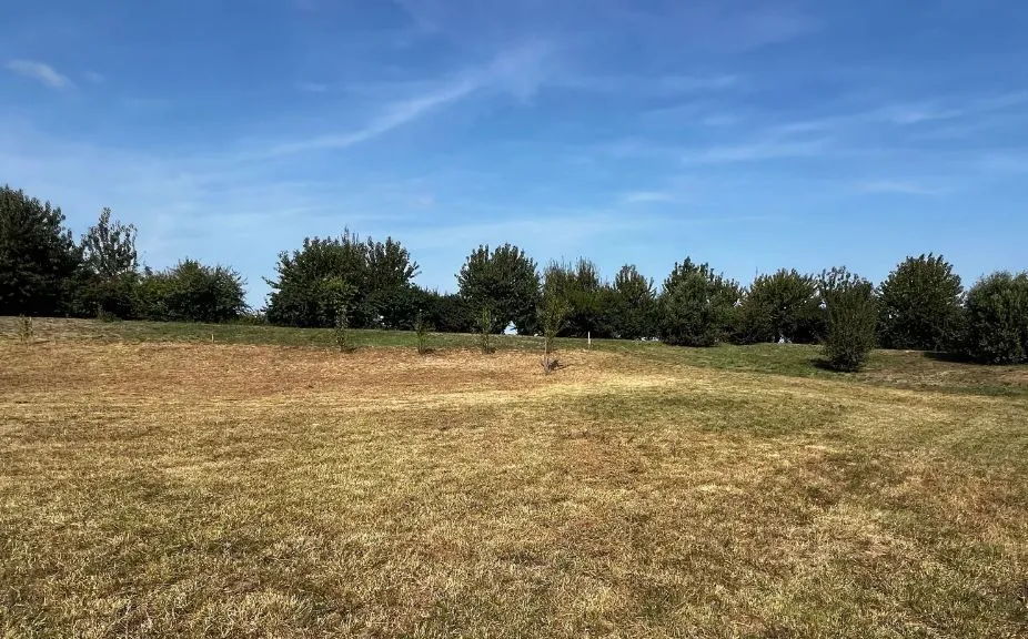 Maison neuve 116 m² à Breuillet (17920)