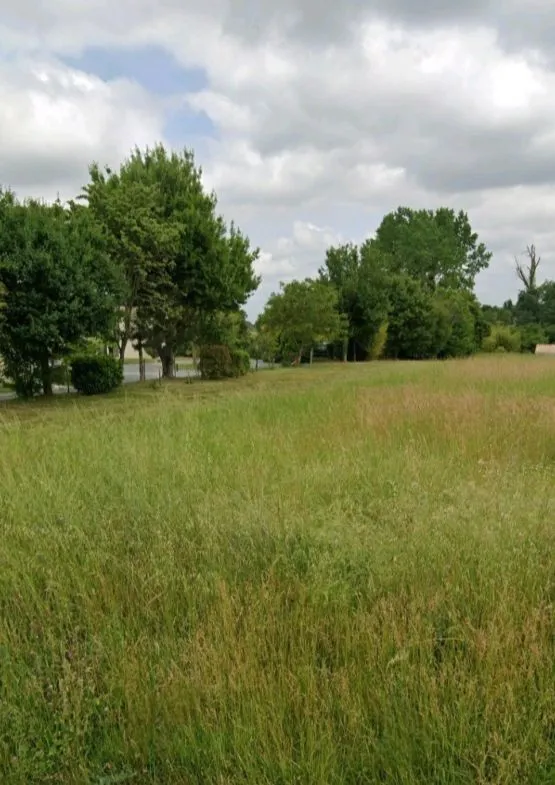 Terrain à bâtir 533 m² à Pisany (17600)