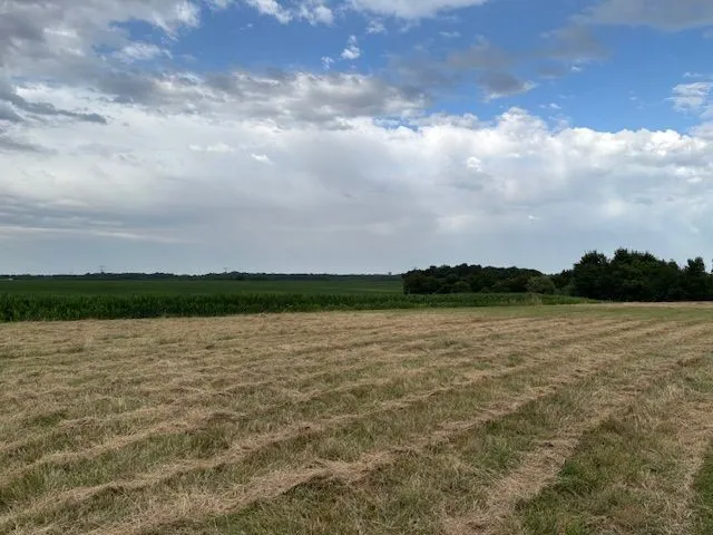 Terrain à bâtir 734 m² à Villars-en-Pons (17260)