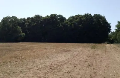 Terrain à bâtir 1355 m² à Gémozac (17260)