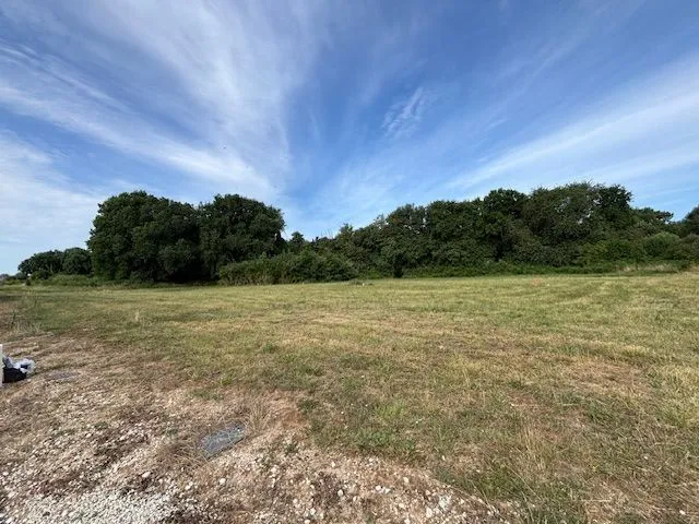 Terrain à bâtir 369 m² à Saint-Palais-sur-Mer (17420)