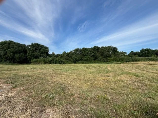 Terrain à bâtir 369 m² à Saint-Palais-sur-Mer (17420)