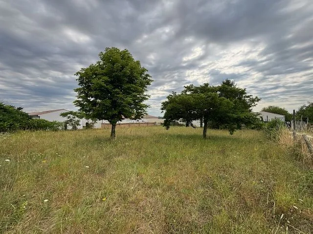 Terrain à bâtir 1040 m² à Meschers-sur-Gironde (17132)