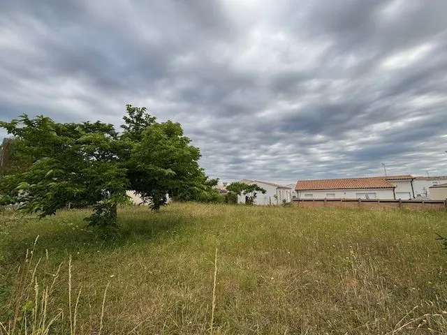 Terrain à bâtir 1040 m² à Meschers-sur-Gironde (17132)