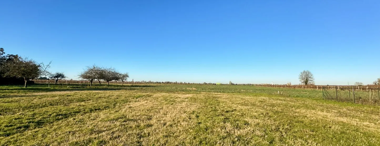 Maison neuve 90 m² à Gémozac (17260)