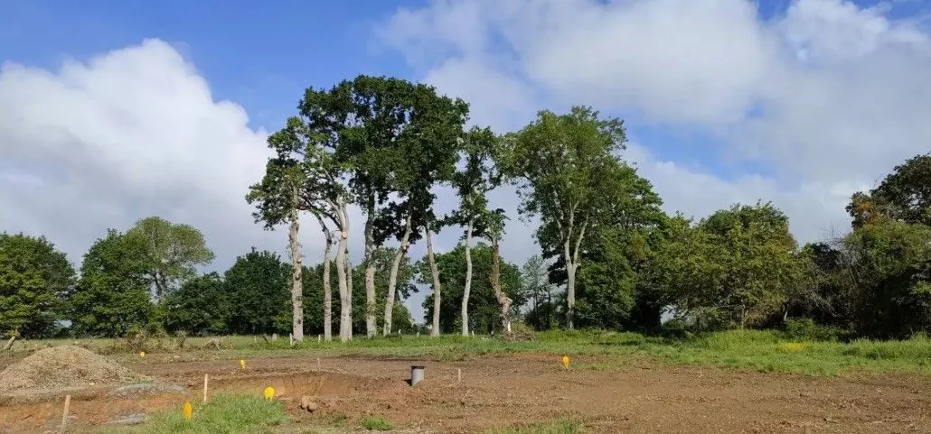 Terrain à bâtir 337 m² à Andouillé-Neuville (35250)
