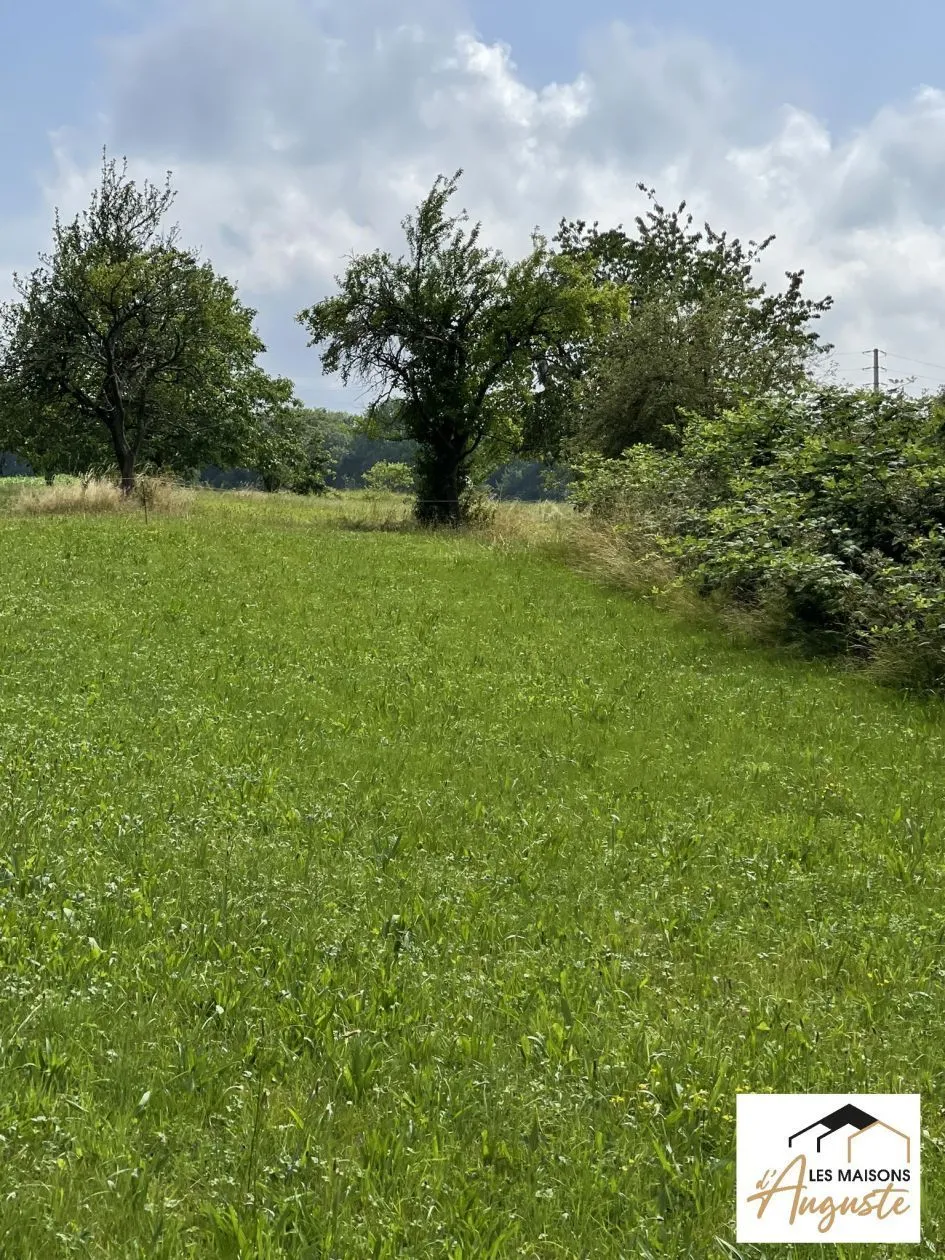 Maison neuve 103 m² à Muespach-le-Haut (68640)