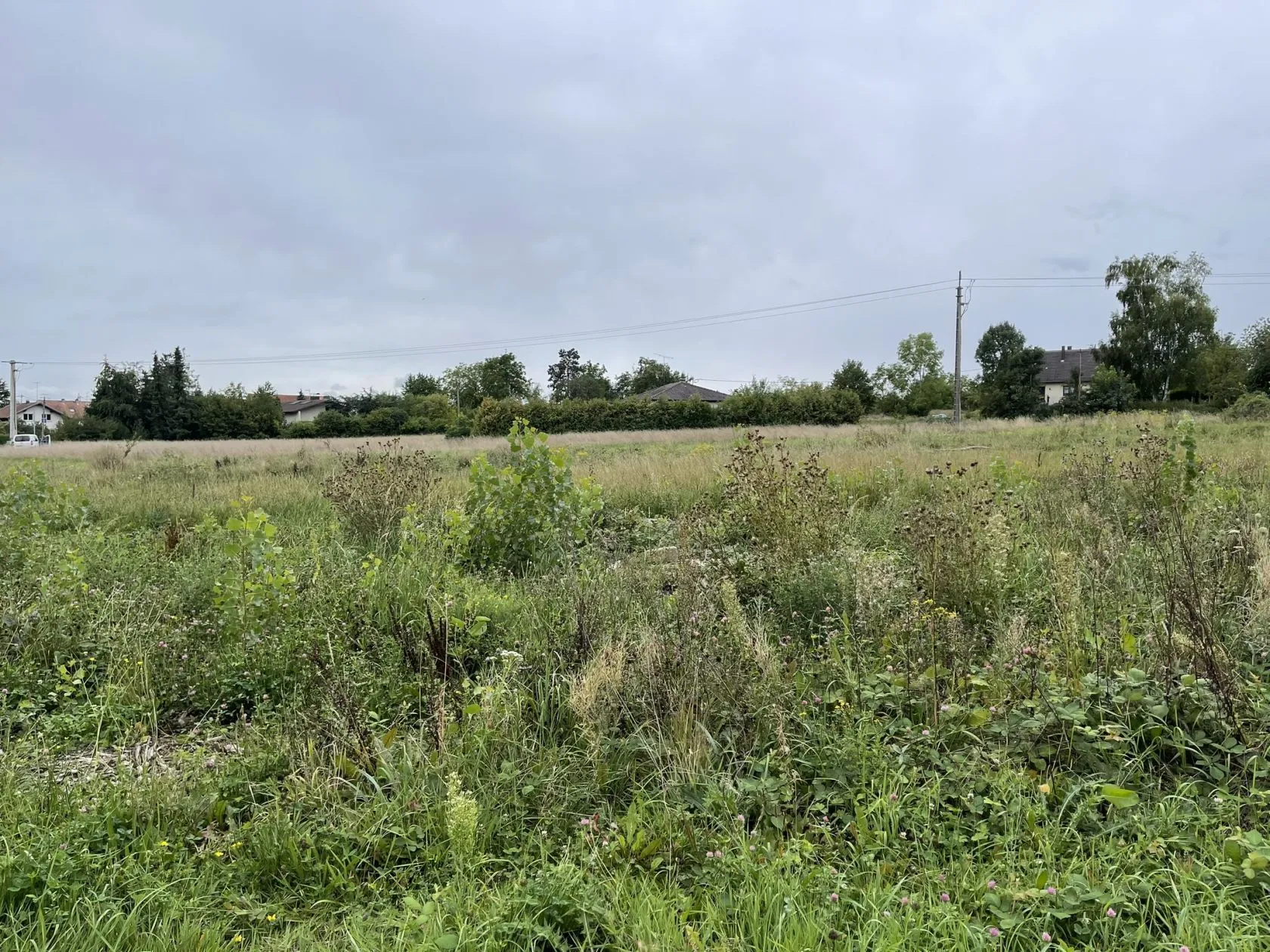 Maison neuve 119 m² à Reiningue (68950)