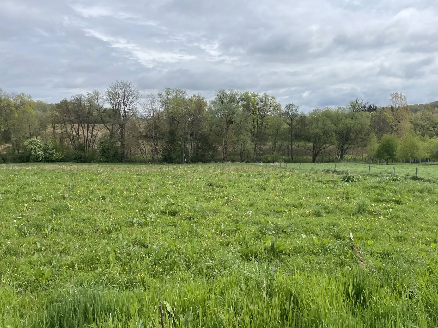 Maison neuve 103 m² à Ruederbach (68560)
