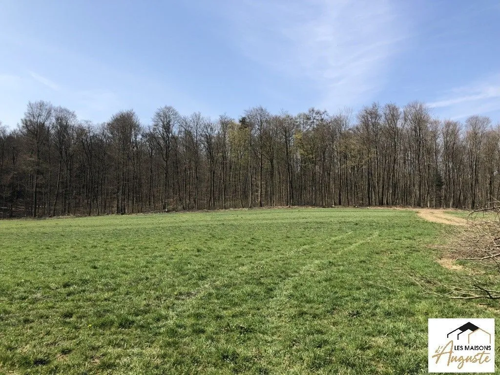 Maison neuve 103 m² à Seppois-le-Bas (68580)