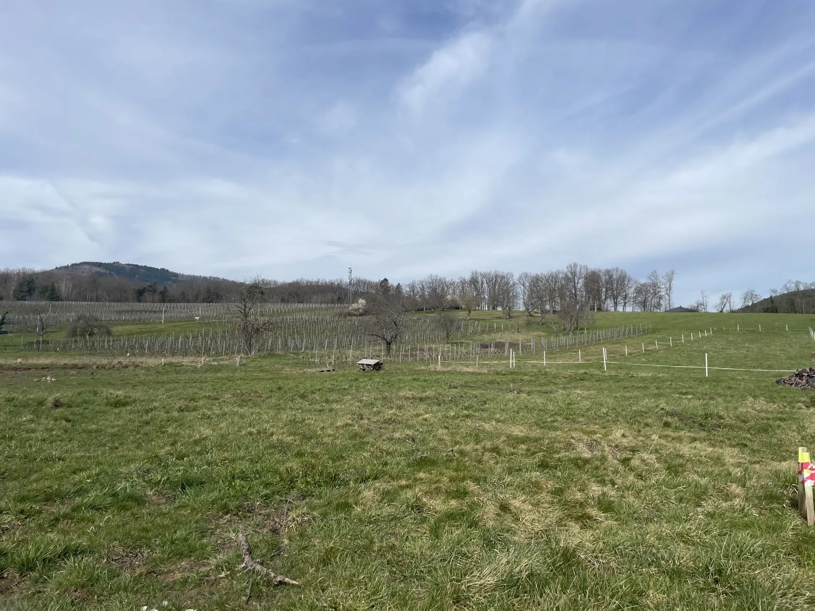 Maison neuve 101 m² à Wuenheim (68500)