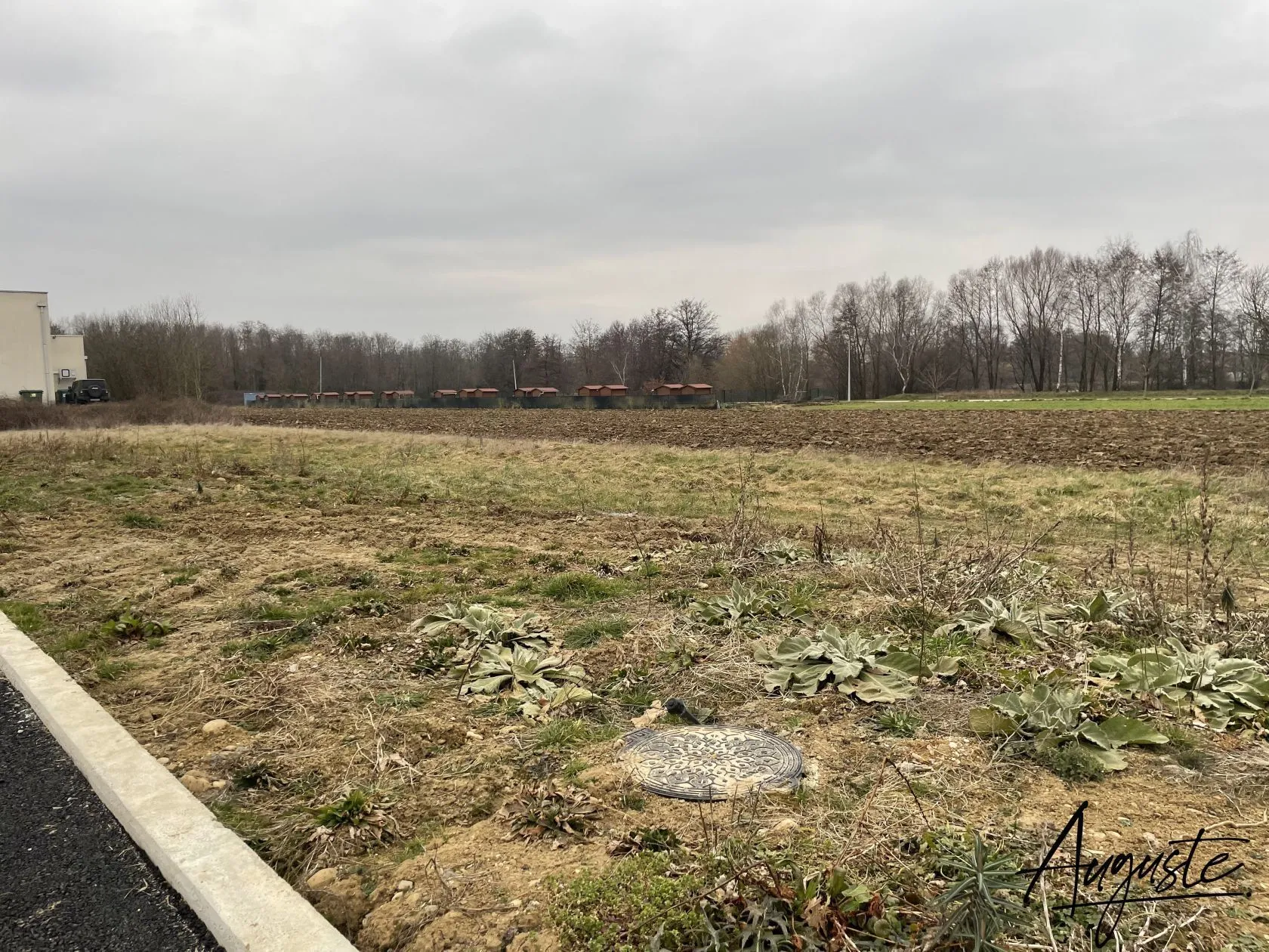Maison neuve 123 m² à Dannemarie (68210)