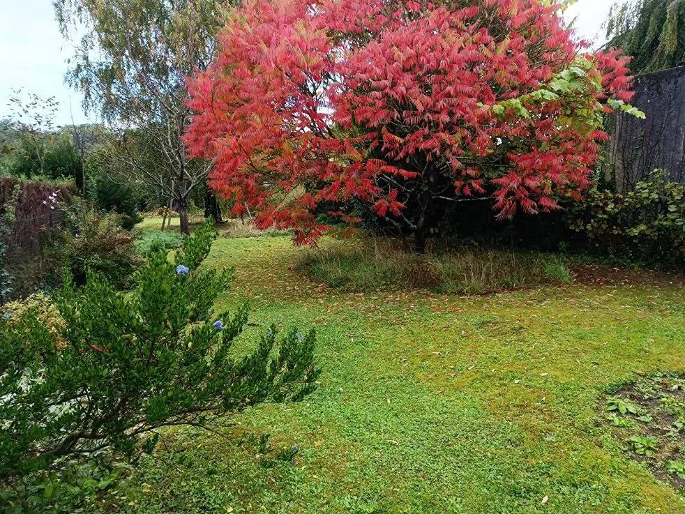 Maison neuve 100 m² à Cauvigny (60730)